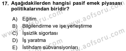 Çalışma Ekonomisi Dersi 2017 - 2018 Yılı 3 Ders Sınav Soruları 17. Soru