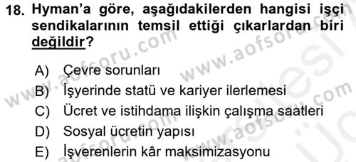 Çalışma Ekonomisi Dersi 2017 - 2018 Yılı 3 Ders Sınav Soruları 18. Soru
