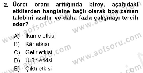 Çalışma Ekonomisi Dersi 2017 - 2018 Yılı 3 Ders Sınav Soruları 2. Soru
