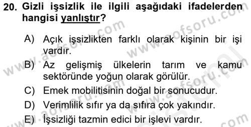 Çalışma Ekonomisi Dersi 2017 - 2018 Yılı 3 Ders Sınav Soruları 20. Soru