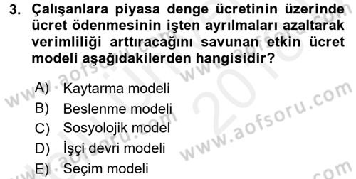 Çalışma Ekonomisi Dersi 2017 - 2018 Yılı 3 Ders Sınav Soruları 3. Soru