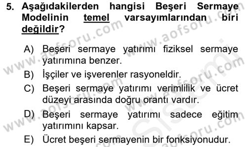 Çalışma Ekonomisi Dersi 2017 - 2018 Yılı 3 Ders Sınav Soruları 5. Soru