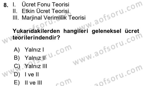Çalışma Ekonomisi Dersi 2017 - 2018 Yılı 3 Ders Sınav Soruları 8. Soru