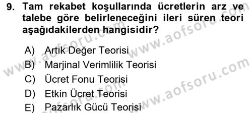 Çalışma Ekonomisi Dersi 2017 - 2018 Yılı 3 Ders Sınav Soruları 9. Soru
