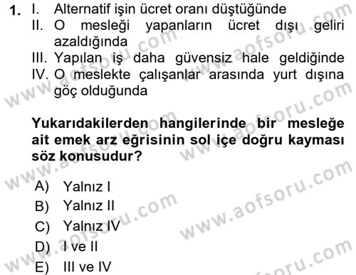 Çalışma Ekonomisi Dersi 2017 - 2018 Yılı (Vize) Ara Sınav Soruları 1. Soru