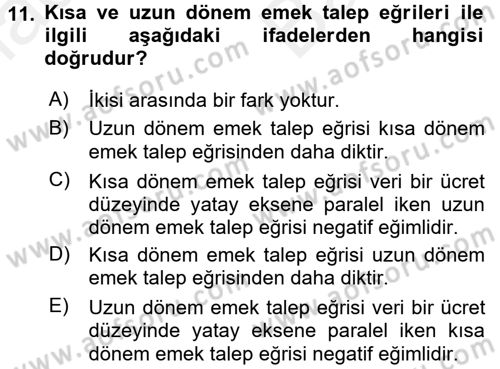 Çalışma Ekonomisi Dersi 2017 - 2018 Yılı (Vize) Ara Sınav Soruları 11. Soru