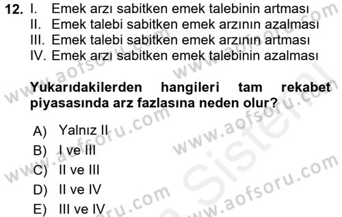 Çalışma Ekonomisi Dersi 2017 - 2018 Yılı (Vize) Ara Sınav Soruları 12. Soru