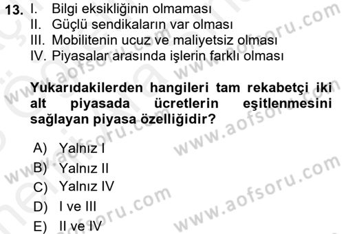 Çalışma Ekonomisi Dersi 2017 - 2018 Yılı (Vize) Ara Sınav Soruları 13. Soru