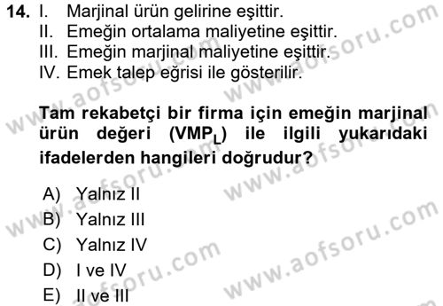 Çalışma Ekonomisi Dersi 2017 - 2018 Yılı (Vize) Ara Sınav Soruları 14. Soru