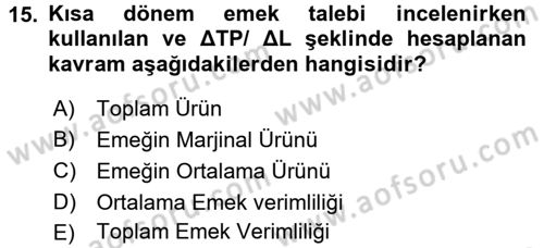 Çalışma Ekonomisi Dersi 2017 - 2018 Yılı (Vize) Ara Sınav Soruları 15. Soru