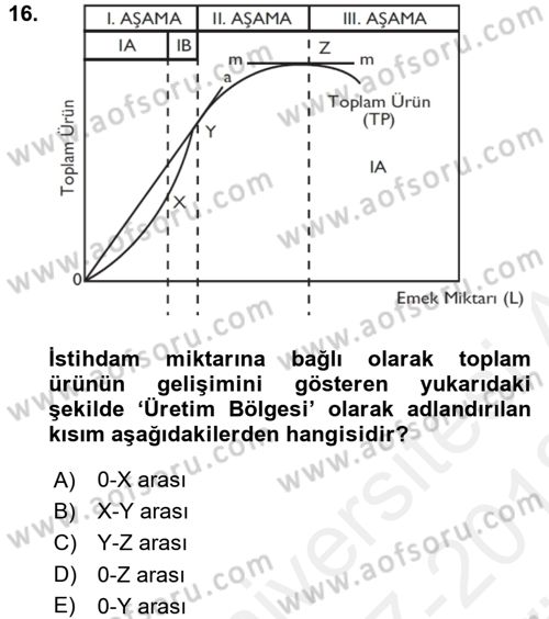 Çalışma Ekonomisi Dersi 2017 - 2018 Yılı (Vize) Ara Sınav Soruları 16. Soru