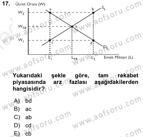 Çalışma Ekonomisi Dersi 2017 - 2018 Yılı (Vize) Ara Sınav Soruları 17. Soru
