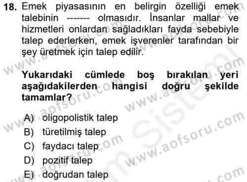 Çalışma Ekonomisi Dersi 2017 - 2018 Yılı (Vize) Ara Sınav Soruları 18. Soru