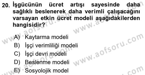 Çalışma Ekonomisi Dersi 2017 - 2018 Yılı (Vize) Ara Sınav Soruları 20. Soru