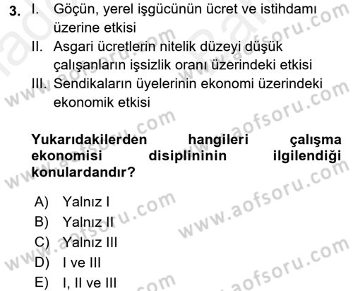 Çalışma Ekonomisi Dersi 2017 - 2018 Yılı (Vize) Ara Sınav Soruları 3. Soru