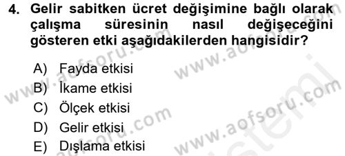 Çalışma Ekonomisi Dersi 2017 - 2018 Yılı (Vize) Ara Sınav Soruları 4. Soru