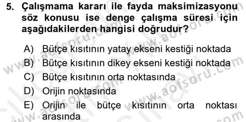 Çalışma Ekonomisi Dersi 2017 - 2018 Yılı (Vize) Ara Sınav Soruları 5. Soru