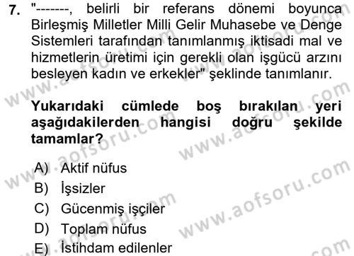 Çalışma Ekonomisi Dersi 2017 - 2018 Yılı (Vize) Ara Sınav Soruları 7. Soru