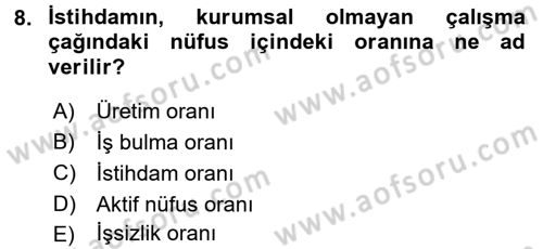 Çalışma Ekonomisi Dersi 2017 - 2018 Yılı (Vize) Ara Sınav Soruları 8. Soru