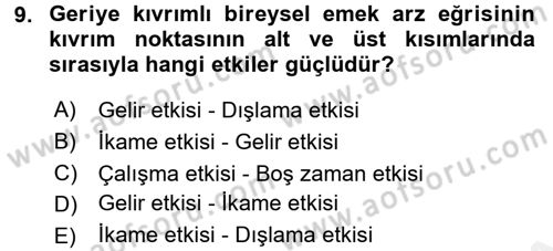 Çalışma Ekonomisi Dersi 2017 - 2018 Yılı (Vize) Ara Sınav Soruları 9. Soru