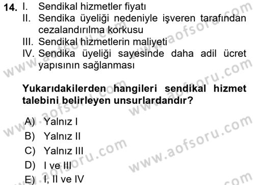 Çalışma Ekonomisi Dersi 2017 - 2018 Yılı (Final) Dönem Sonu Sınav Soruları 14. Soru