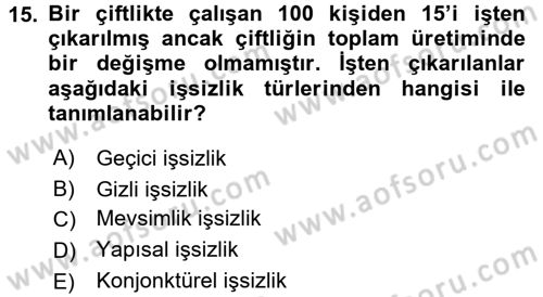 Çalışma Ekonomisi Dersi 2017 - 2018 Yılı (Final) Dönem Sonu Sınav Soruları 15. Soru