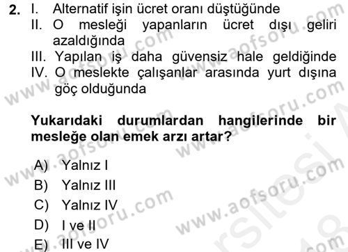 Çalışma Ekonomisi Dersi 2017 - 2018 Yılı (Final) Dönem Sonu Sınav Soruları 2. Soru