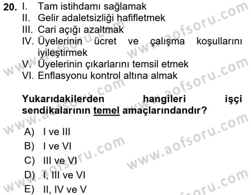Çalışma Ekonomisi Dersi 2017 - 2018 Yılı (Final) Dönem Sonu Sınav Soruları 20. Soru