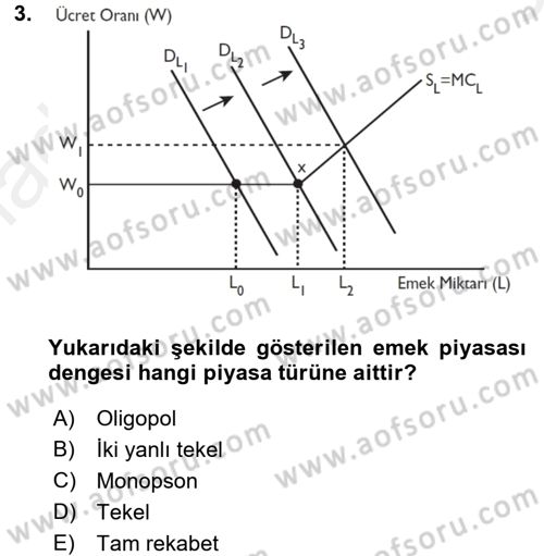 Çalışma Ekonomisi Dersi 2017 - 2018 Yılı (Final) Dönem Sonu Sınav Soruları 3. Soru