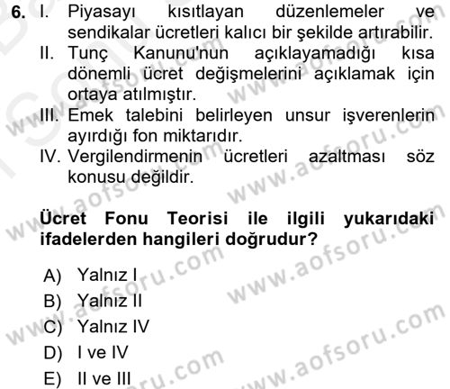 Çalışma Ekonomisi Dersi 2017 - 2018 Yılı (Final) Dönem Sonu Sınav Soruları 6. Soru
