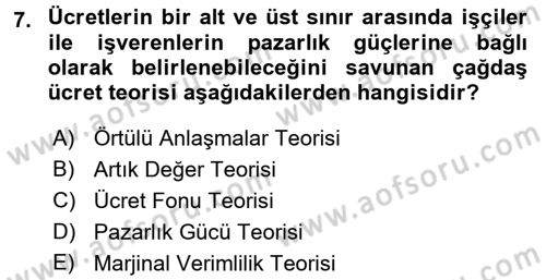 Çalışma Ekonomisi Dersi 2017 - 2018 Yılı (Final) Dönem Sonu Sınav Soruları 7. Soru