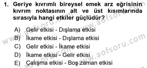 Çalışma Ekonomisi Dersi 2018 - 2019 Yılı 3 Ders Sınav Soruları 1. Soru