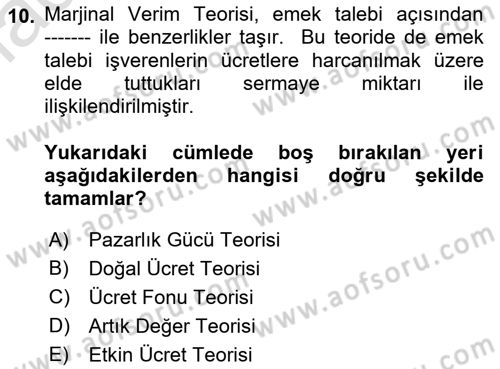 Çalışma Ekonomisi Dersi 2018 - 2019 Yılı 3 Ders Sınav Soruları 10. Soru