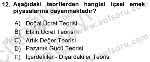Çalışma Ekonomisi Dersi 2018 - 2019 Yılı 3 Ders Sınav Soruları 12. Soru