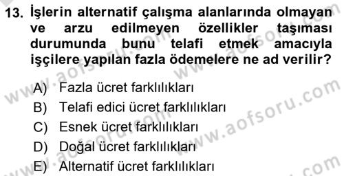 Çalışma Ekonomisi Dersi 2018 - 2019 Yılı 3 Ders Sınav Soruları 13. Soru