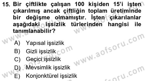 Çalışma Ekonomisi Dersi 2018 - 2019 Yılı 3 Ders Sınav Soruları 15. Soru