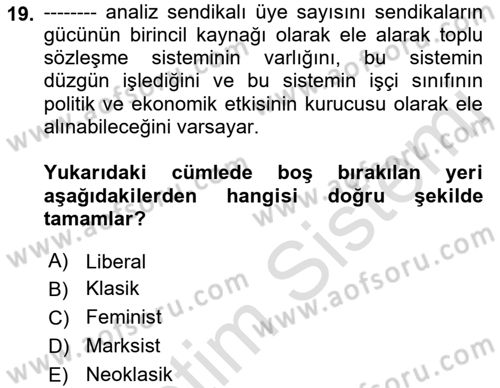 Çalışma Ekonomisi Dersi 2018 - 2019 Yılı 3 Ders Sınav Soruları 19. Soru