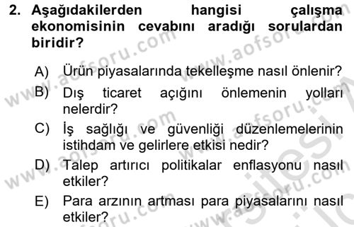 Çalışma Ekonomisi Dersi 2018 - 2019 Yılı 3 Ders Sınav Soruları 2. Soru