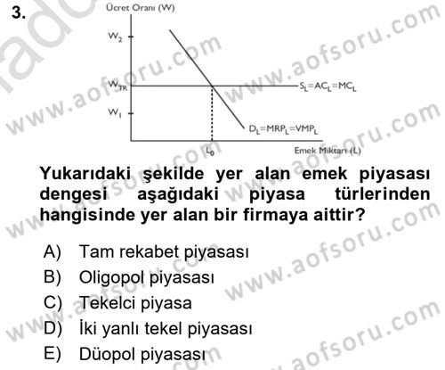 Çalışma Ekonomisi Dersi 2018 - 2019 Yılı 3 Ders Sınav Soruları 3. Soru