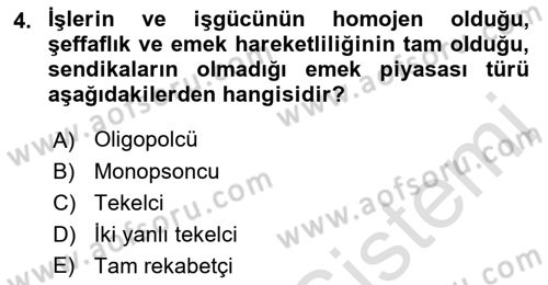 Çalışma Ekonomisi Dersi 2018 - 2019 Yılı 3 Ders Sınav Soruları 4. Soru