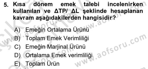 Çalışma Ekonomisi Dersi 2018 - 2019 Yılı 3 Ders Sınav Soruları 5. Soru