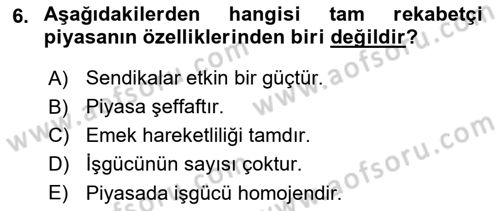 Çalışma Ekonomisi Dersi 2018 - 2019 Yılı 3 Ders Sınav Soruları 6. Soru