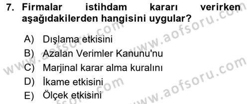 Çalışma Ekonomisi Dersi 2018 - 2019 Yılı 3 Ders Sınav Soruları 7. Soru