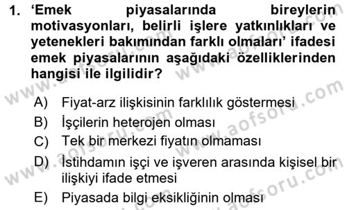Çalışma Ekonomisi Dersi 2018 - 2019 Yılı (Final) Dönem Sonu Sınav Soruları 1. Soru