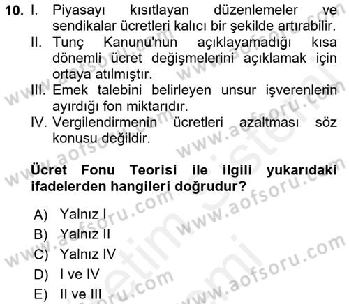 Çalışma Ekonomisi Dersi 2018 - 2019 Yılı (Final) Dönem Sonu Sınav Soruları 10. Soru