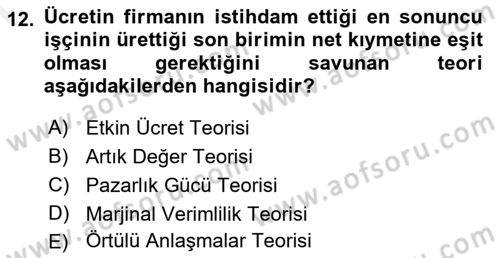 Çalışma Ekonomisi Dersi 2018 - 2019 Yılı (Final) Dönem Sonu Sınav Soruları 12. Soru