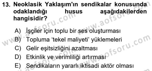 Çalışma Ekonomisi Dersi 2018 - 2019 Yılı (Final) Dönem Sonu Sınav Soruları 13. Soru