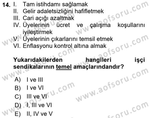 Çalışma Ekonomisi Dersi 2018 - 2019 Yılı (Final) Dönem Sonu Sınav Soruları 14. Soru