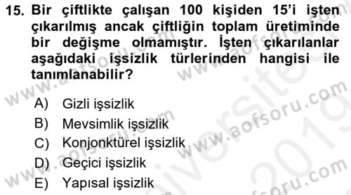 Çalışma Ekonomisi Dersi 2018 - 2019 Yılı (Final) Dönem Sonu Sınav Soruları 15. Soru