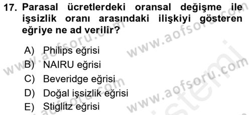 Çalışma Ekonomisi Dersi 2018 - 2019 Yılı (Final) Dönem Sonu Sınav Soruları 17. Soru